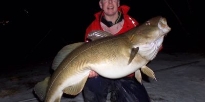 40lb cod from the shore.jpg